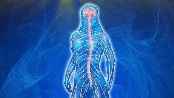 Brain Function Artwork