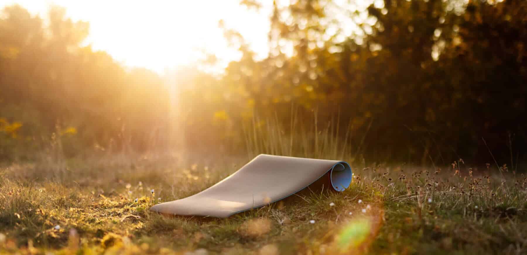 A rolled-up yoga mat lies on grass in a sunlit outdoor setting, inviting you to BeGrounded among the trees and bright sunlight in the background.